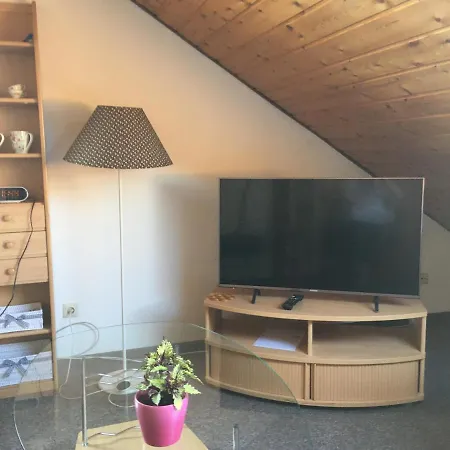 Sonnige Dachgeschosswohnung Appartement Niederkassel